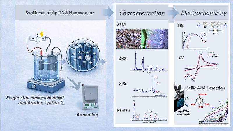 Graphical abstract