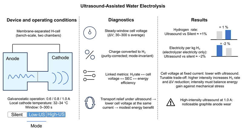 Graphical Abstract