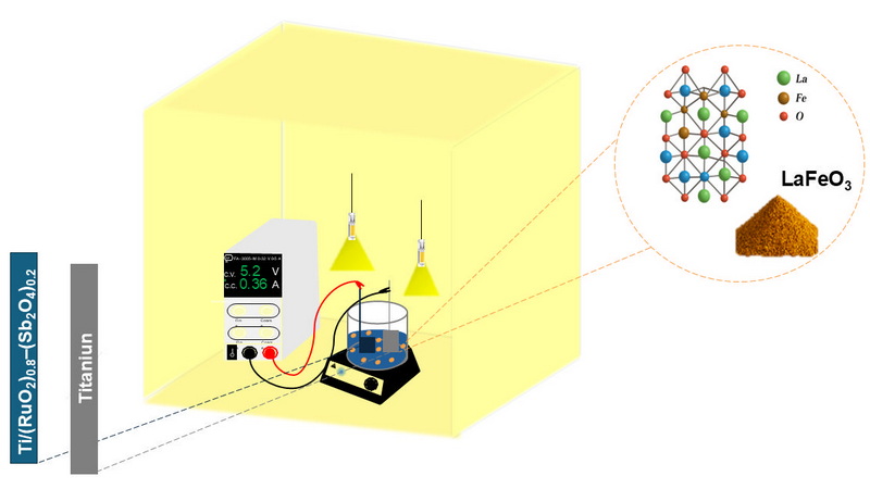 Graphical abstract