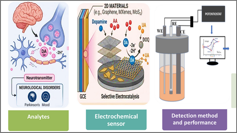 Graphical abstract