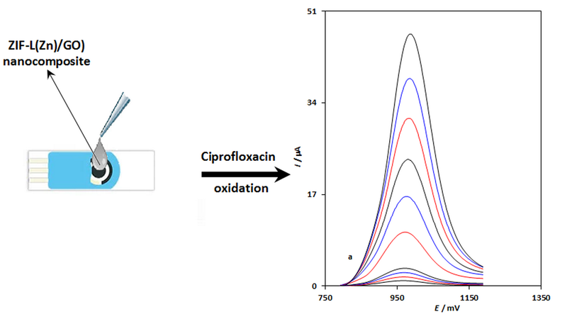 Graphical abstract