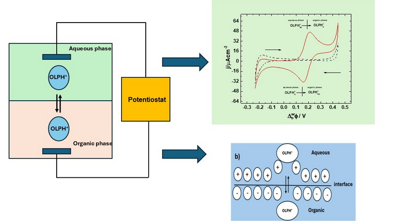 Graphical abstract
