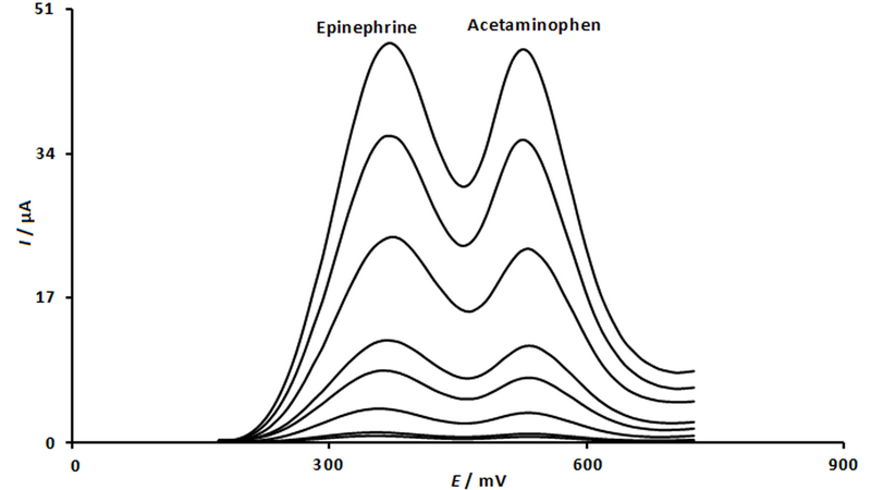 Graphical abstract