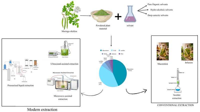 Graphical Abstract