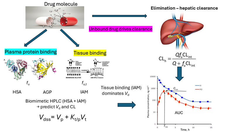 Graphical Abstract