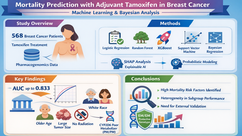 Graphical Abstract