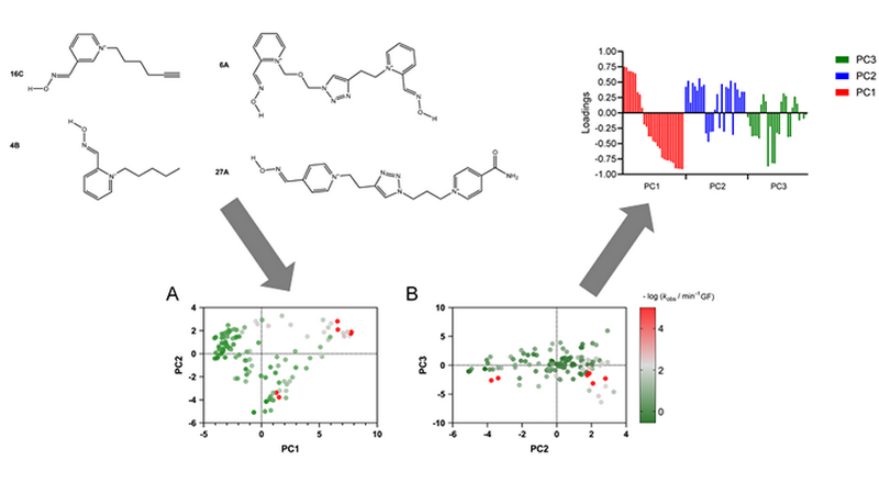 Graphical abstract