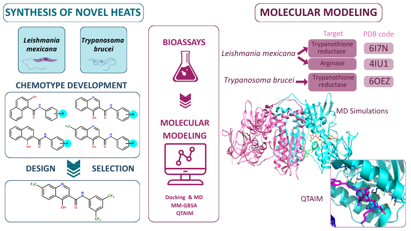 Graphical abstract