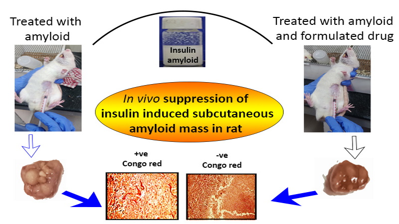 Graphical abstract